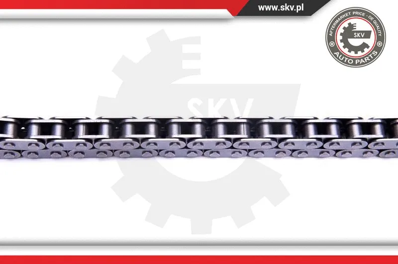 Timing Chain Kit