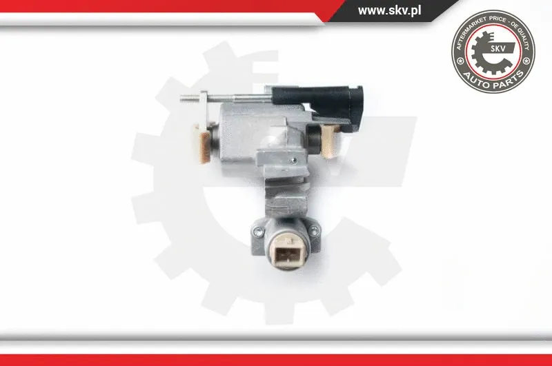 Tensioner, timing chain