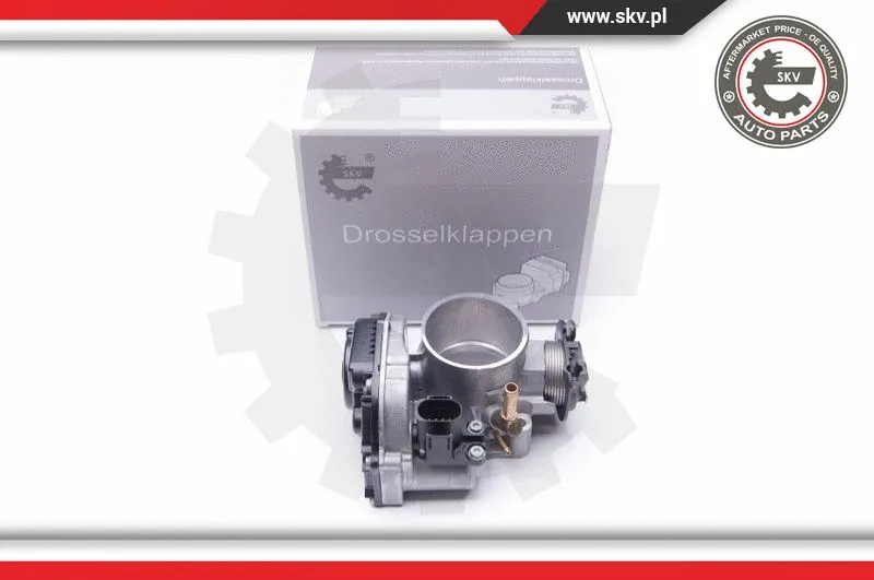 Throttle Body (12SKV035)