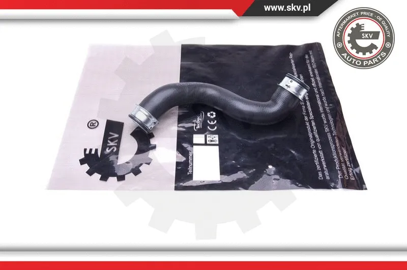 Radiator Hose (43SKV618)