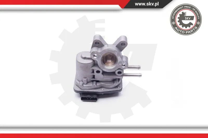 EGR Valve