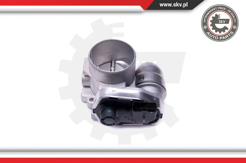Throttle Body