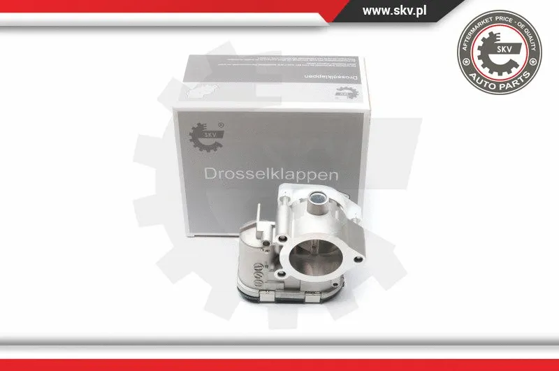 Throttle Body (12SKV046)