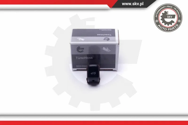 Switch, tailgate release (16SKV255)