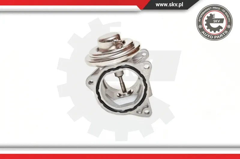 EGR Valve