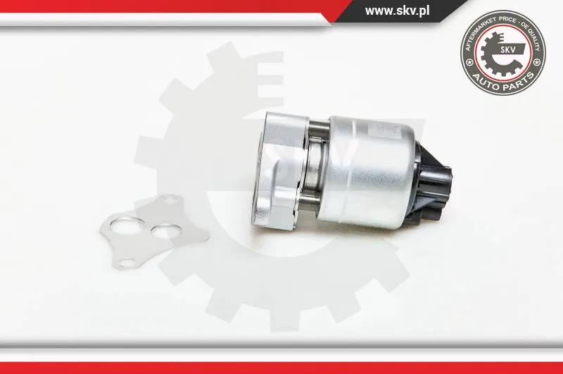EGR Valve