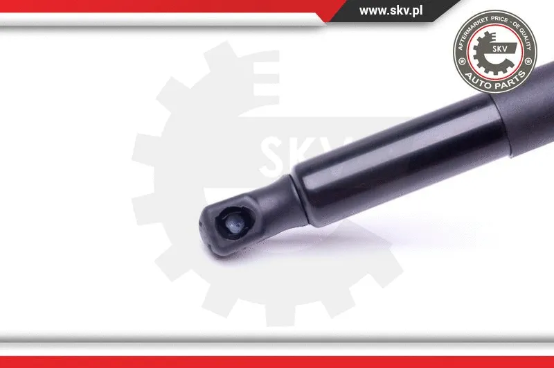 Gas Spring, boot/cargo area