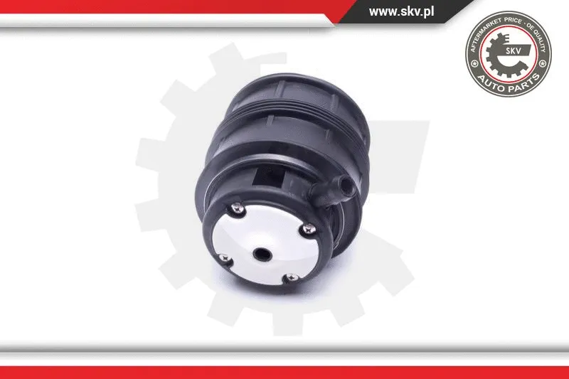 Air Spring, suspension