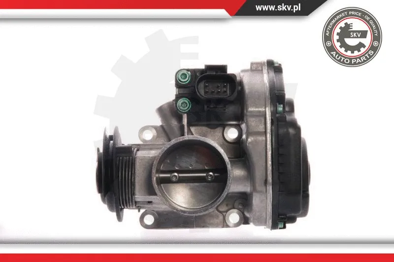Throttle Body