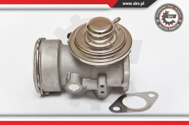 EGR Valve