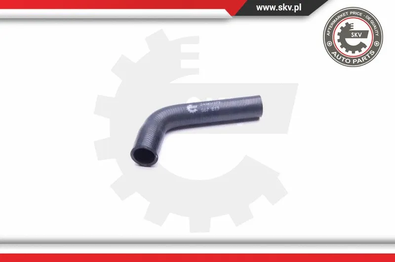 Radiator Hose