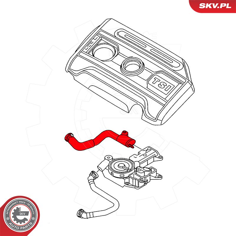 Hose, crankcase ventilation
