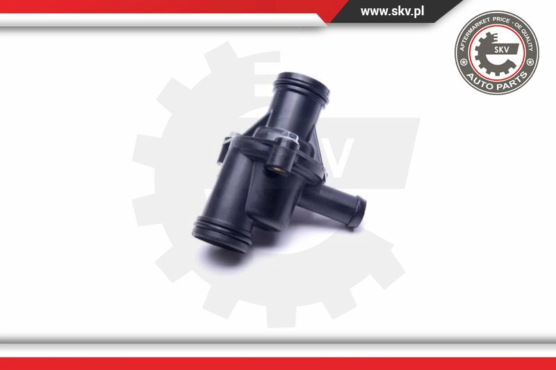 Thermostat, coolant