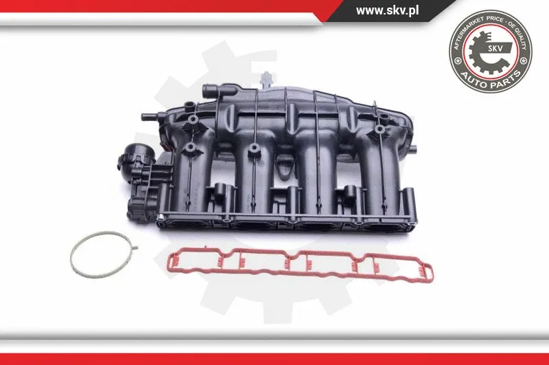 Intake Manifold Module