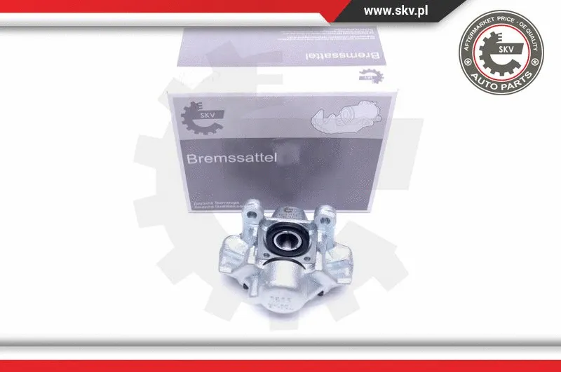 Brake Caliper (45SKV484)