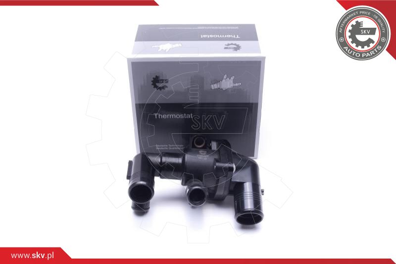 Thermostat, coolant (20SKV203)