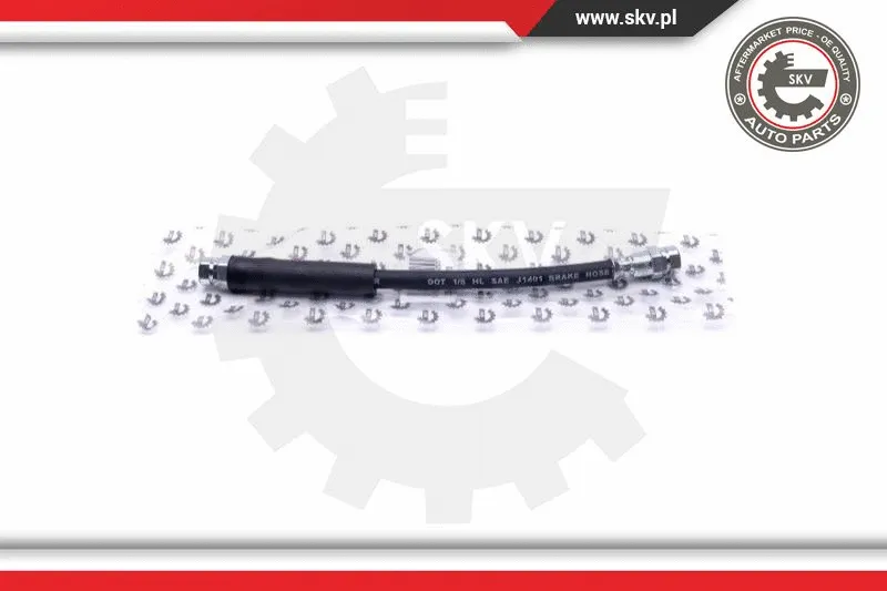 Brake Hose (35SKV170)