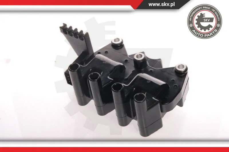 Ignition Coil (03SKV004)