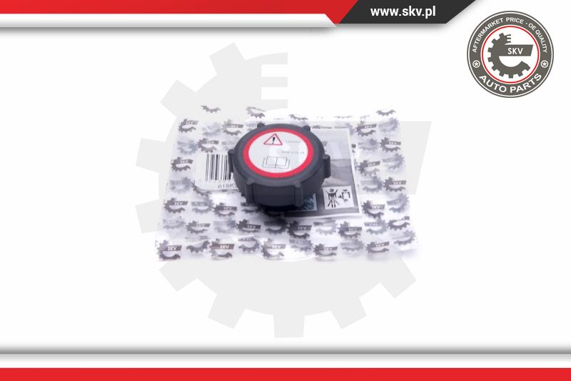 Cap, coolant tank (61SKV006)