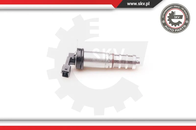 Control Valve, camshaft adjustment (39SKV014)