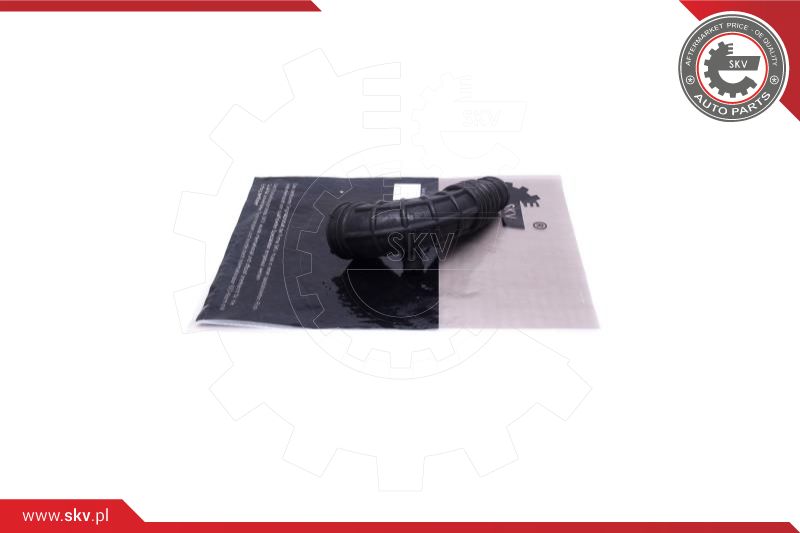 Intake Hose, air filter (43SKV929)