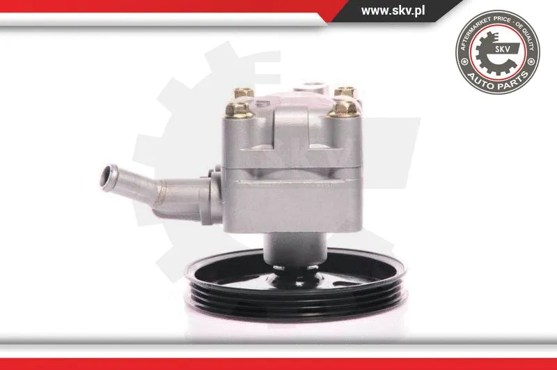 Hydraulic Pump, steering (10SKV127)