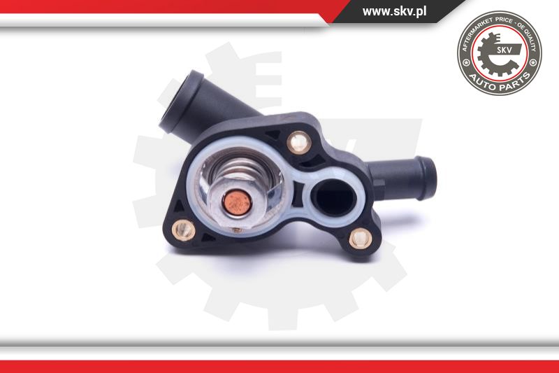 Thermostat, coolant