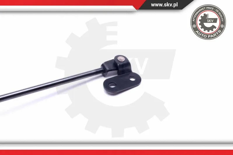 Gas Spring, boot/cargo area