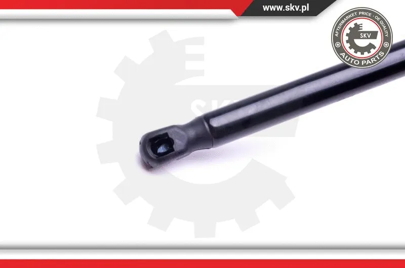 Gas Spring, boot/cargo area