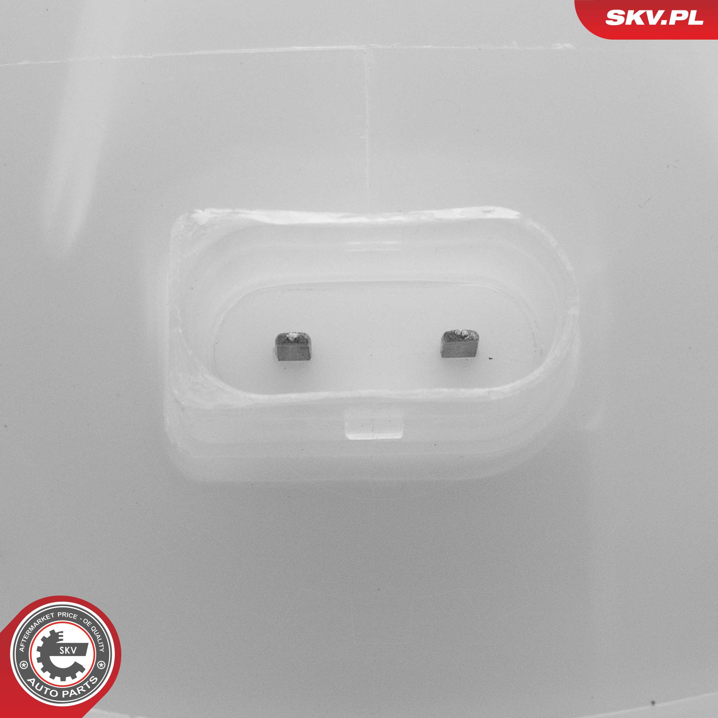 Expansion Tank, coolant