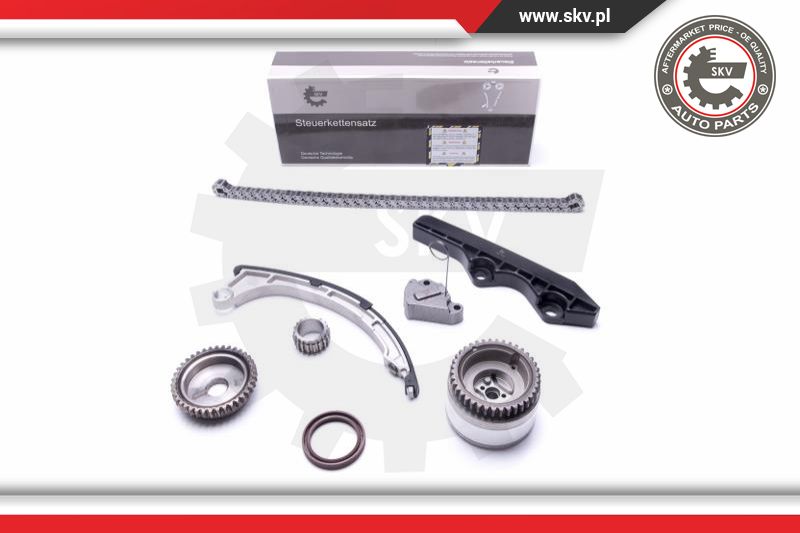 Timing Chain Kit (21SKV206)