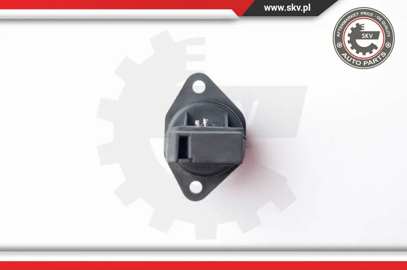 Mass Air Flow Sensor