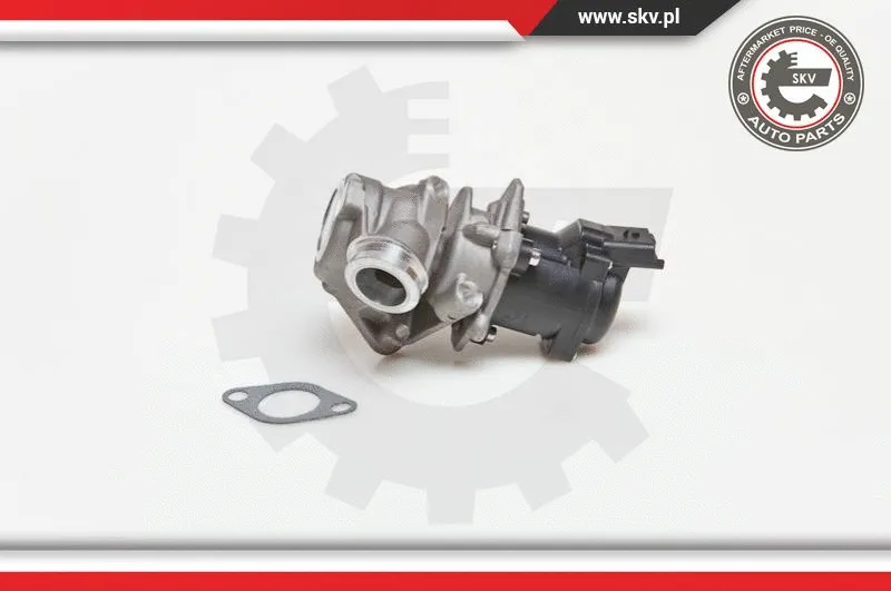 EGR Valve