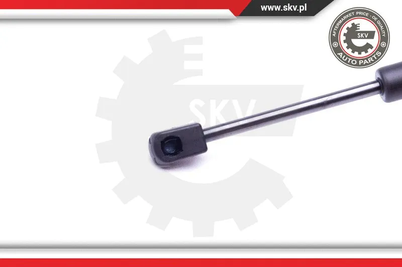 Gas Spring, boot/cargo area