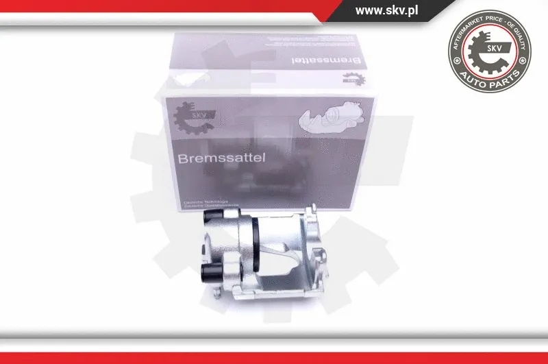 Brake Caliper (42SKV681)