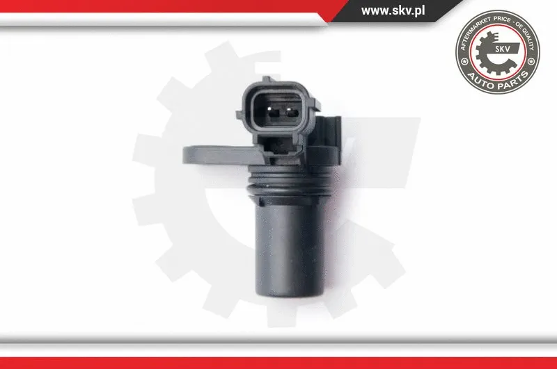 Sensor, camshaft position (17SKV274)