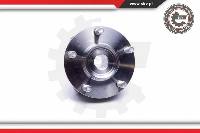 Wheel Bearing Kit