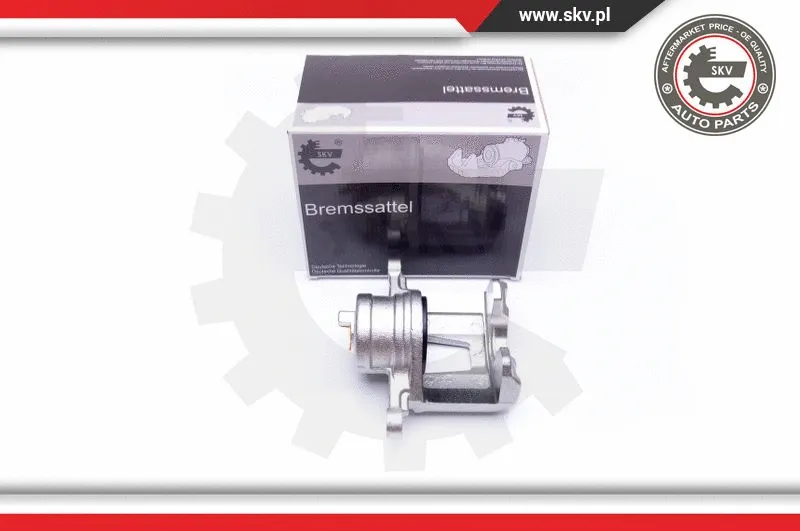Brake Caliper (42SKV152)