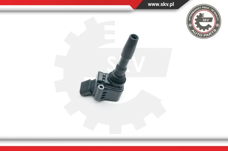 Ignition Coil (03SKV267)