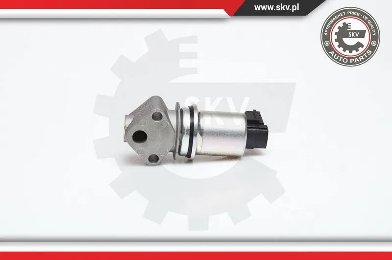 EGR Valve