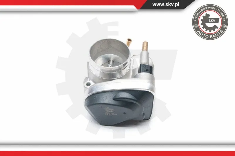 Throttle Body (12SKV047)
