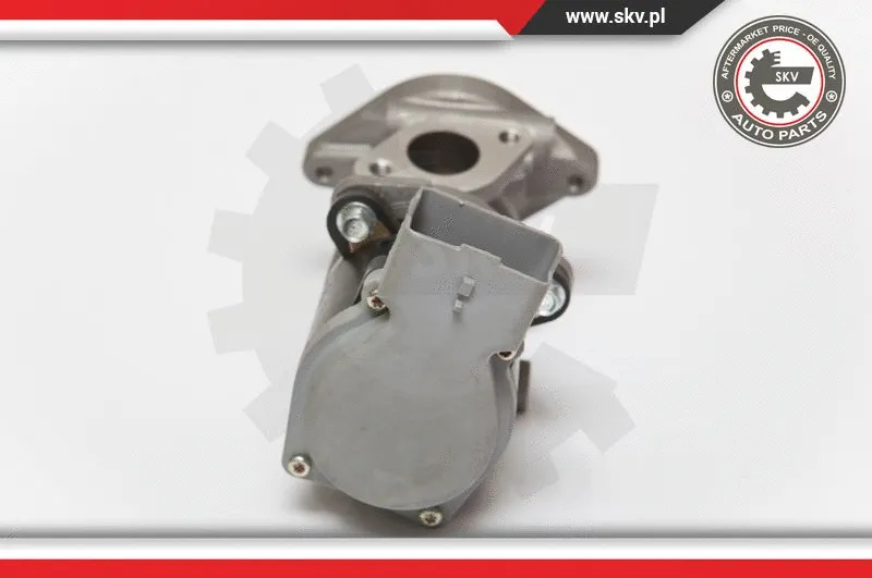 EGR Valve