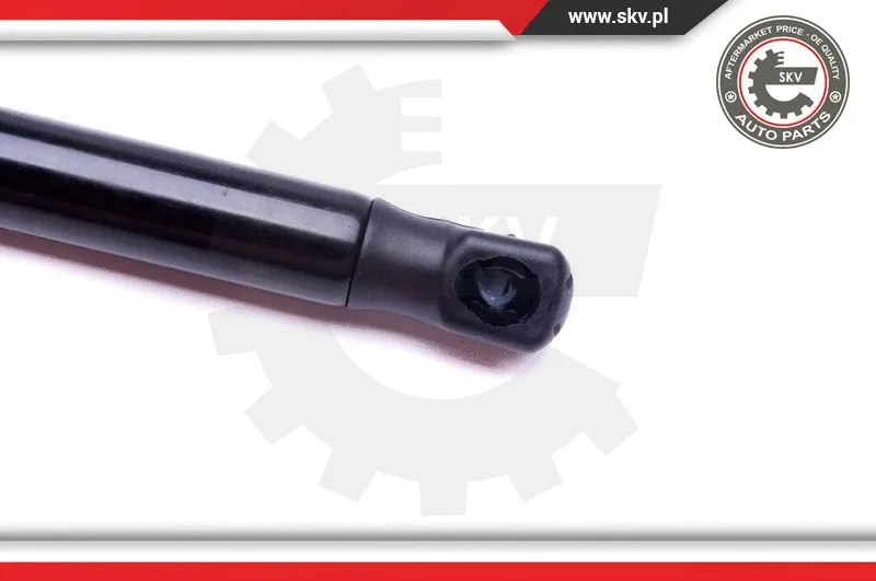 Gas Spring, boot/cargo area