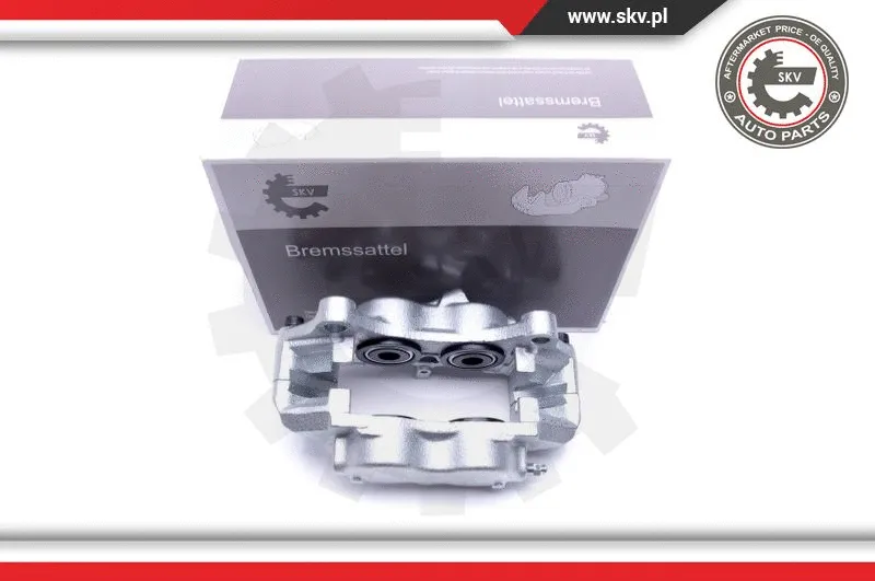 Brake Caliper (46SKV071)