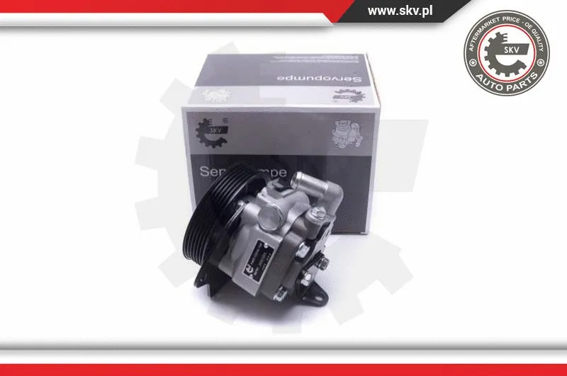 Hydraulic Pump, steering (10SKV294)