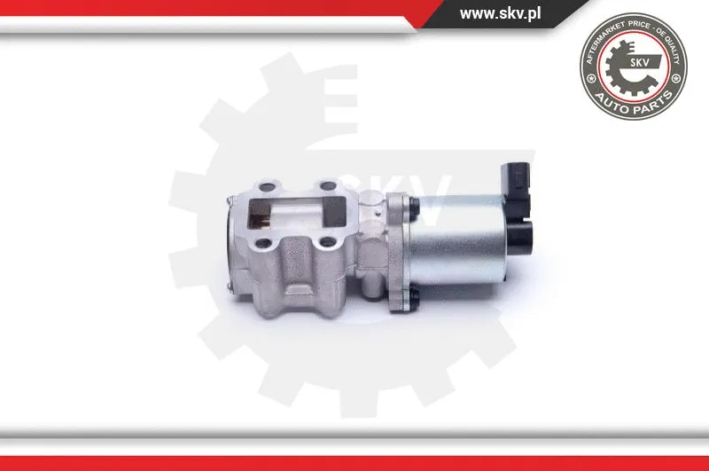 EGR Valve