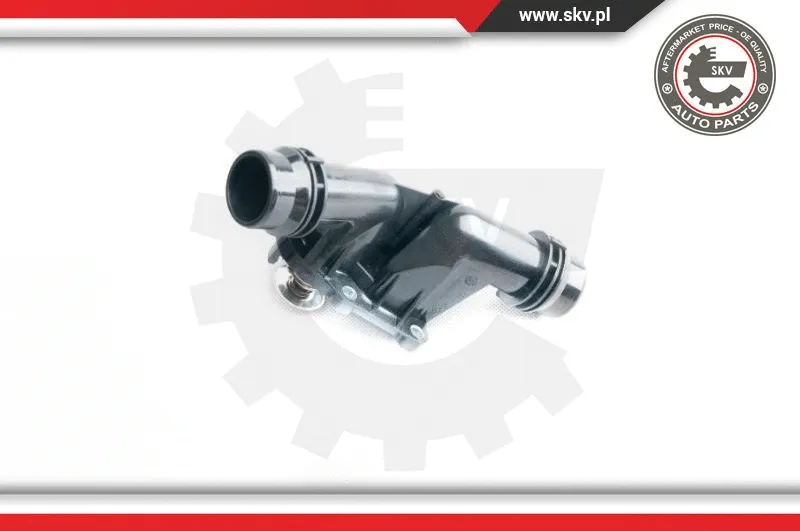 Thermostat, coolant