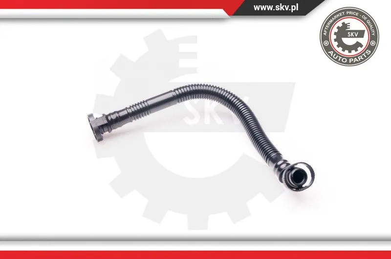 Hose, crankcase ventilation (31SKV029)