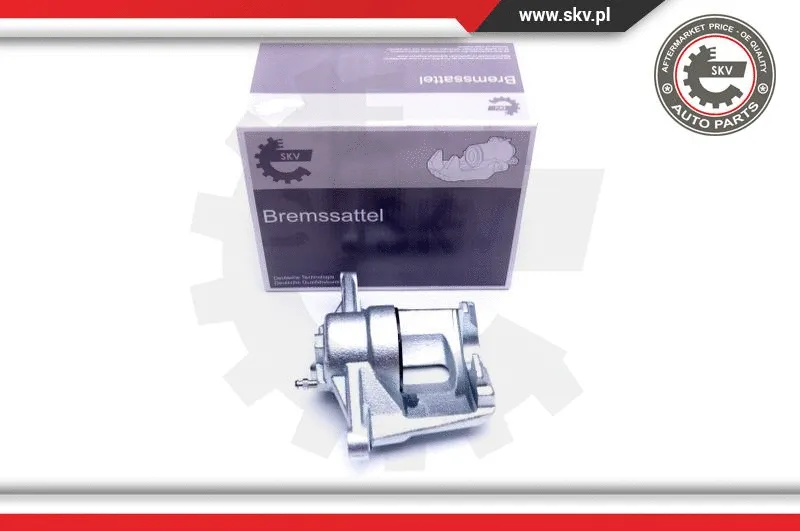Brake Caliper (42SKV921)