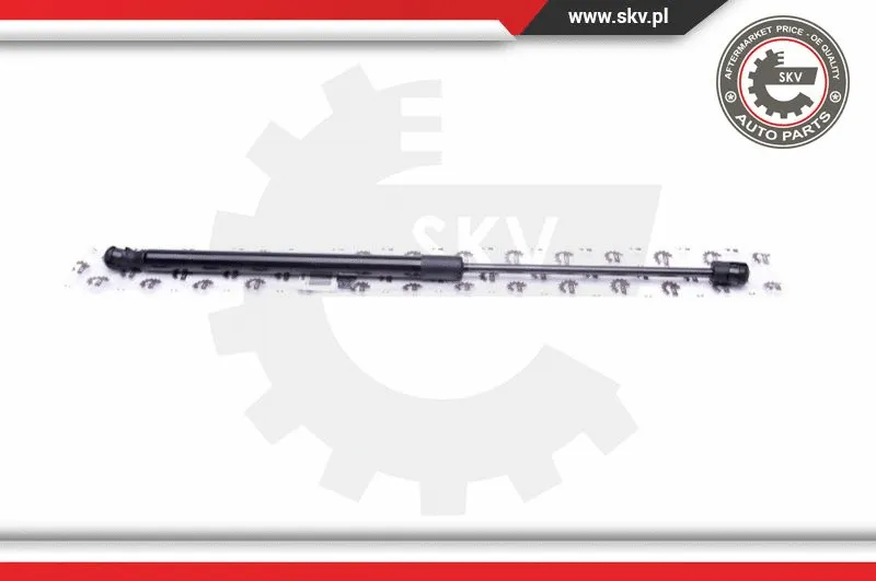 Gas Spring, boot/cargo area